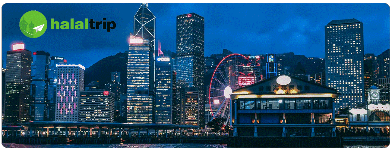 Success Story- Halaltrip